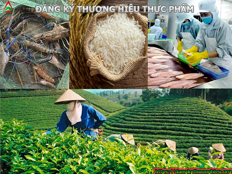 dang-ky-thuong-hieu-thuc-pham-cac-quan-huyen-tphcm.jpg