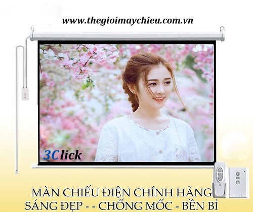 man-chieu-dien.jpg