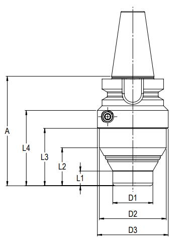 dau-kep-bt-sao.jpg