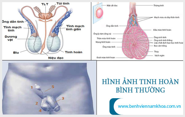 hinh-anh-tinh-hoan-binh-thuong.jpg