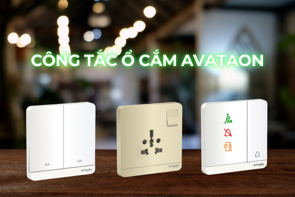 Top công tắc AvatarOn Schneider được sử dụng nhiều nhất 2024