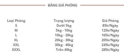 gia-phong-trong-giu-cho-meo.png