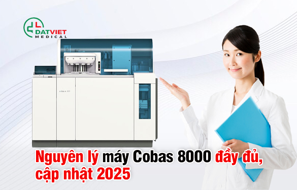 nguyen-ly-may-cobas-8000-chinh-hang.jpg