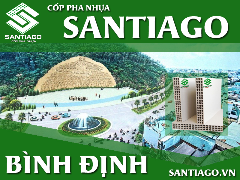 cop-pha-tai-binh-dinh.jpg