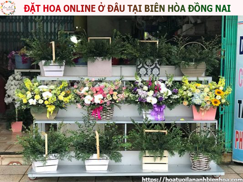 dat-hoa-online-o-dau-tai-bien-hoa-dong-nai.jpg