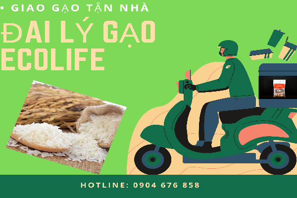 giao-gao-tai-nha-01.png