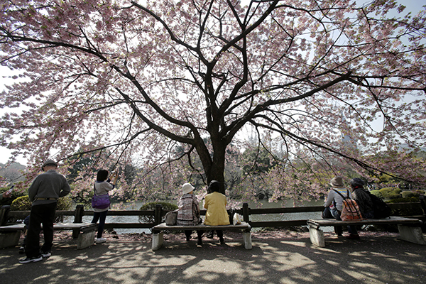 Shinjuku-Gyoen.jpg