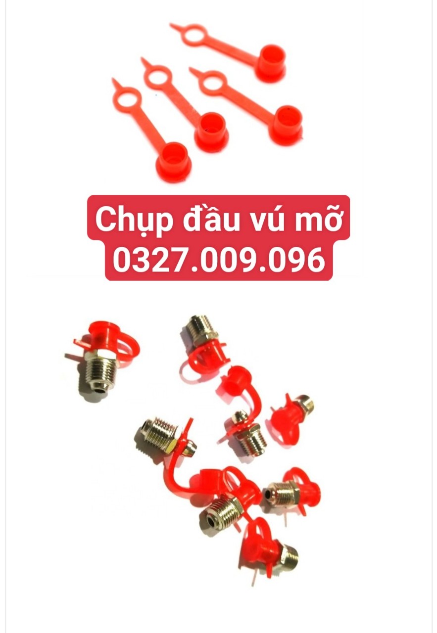 chup-d19.jpg