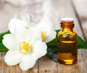 Health-Benefits-of-Jasmine-Essential-Oil.png