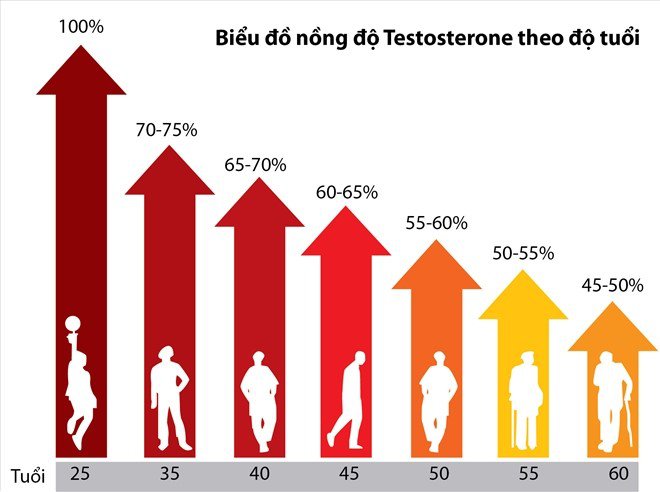 testosterone-theo-tuoi.jpg