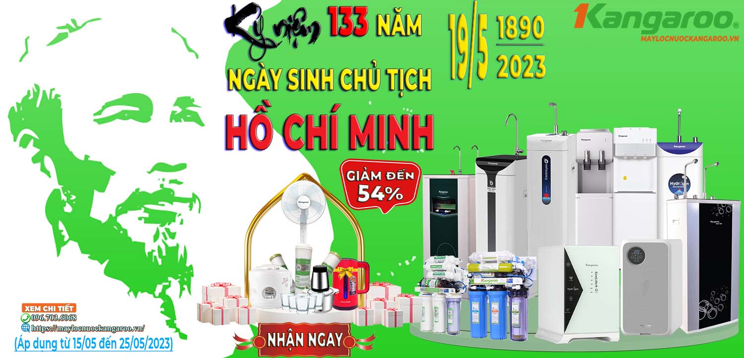 133-nam-ngay-sinh-chu-tich-ho-chi-minh.jpg