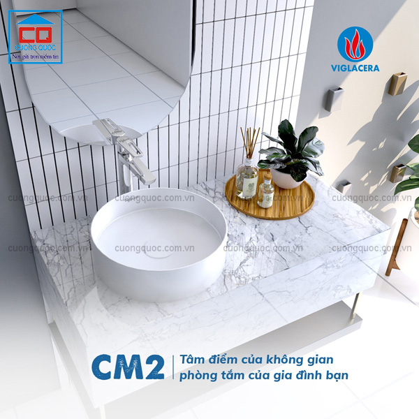 chau-rua-lavabo-viglacera-cm02.jpg