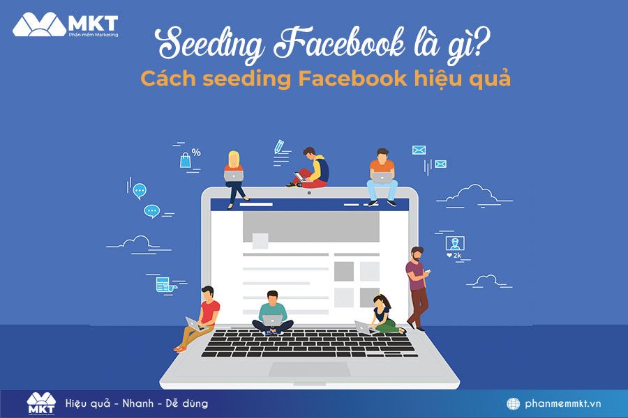 seeding-facebook-.jpg