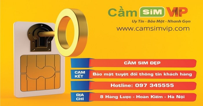 cam-sim-vip-dep.jpg