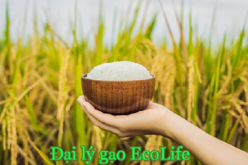 dai-ly-gao-ecolife-1.png