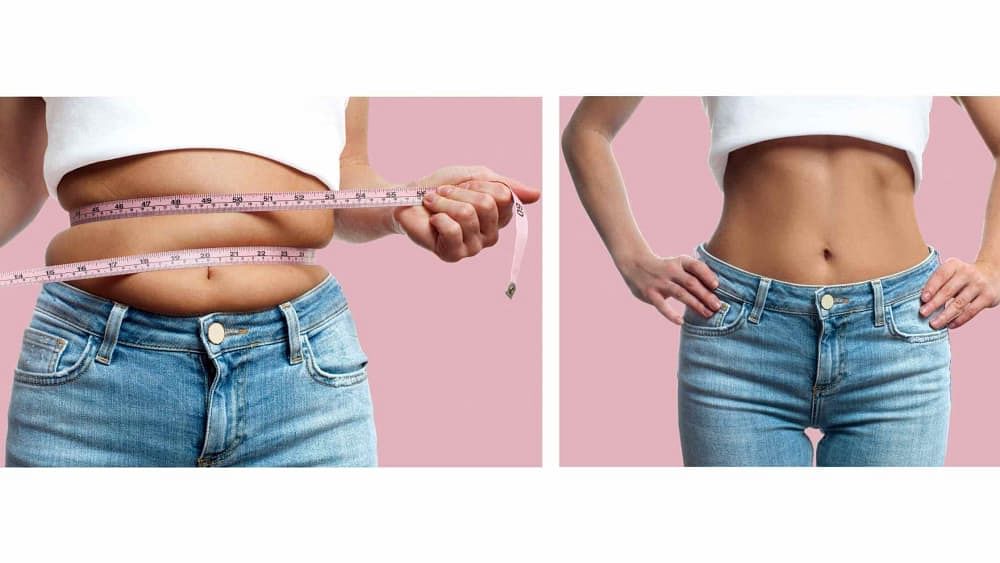 Comment fonctionne la perte de poids | La science derrière la perte de poids | Bodywise
