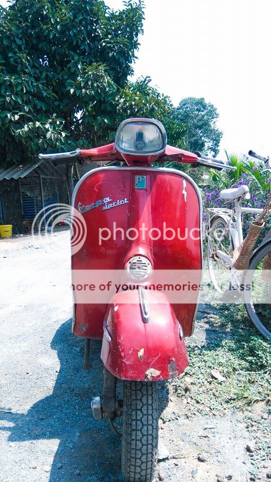 vespa2_zpsc8zdbj07.jpg