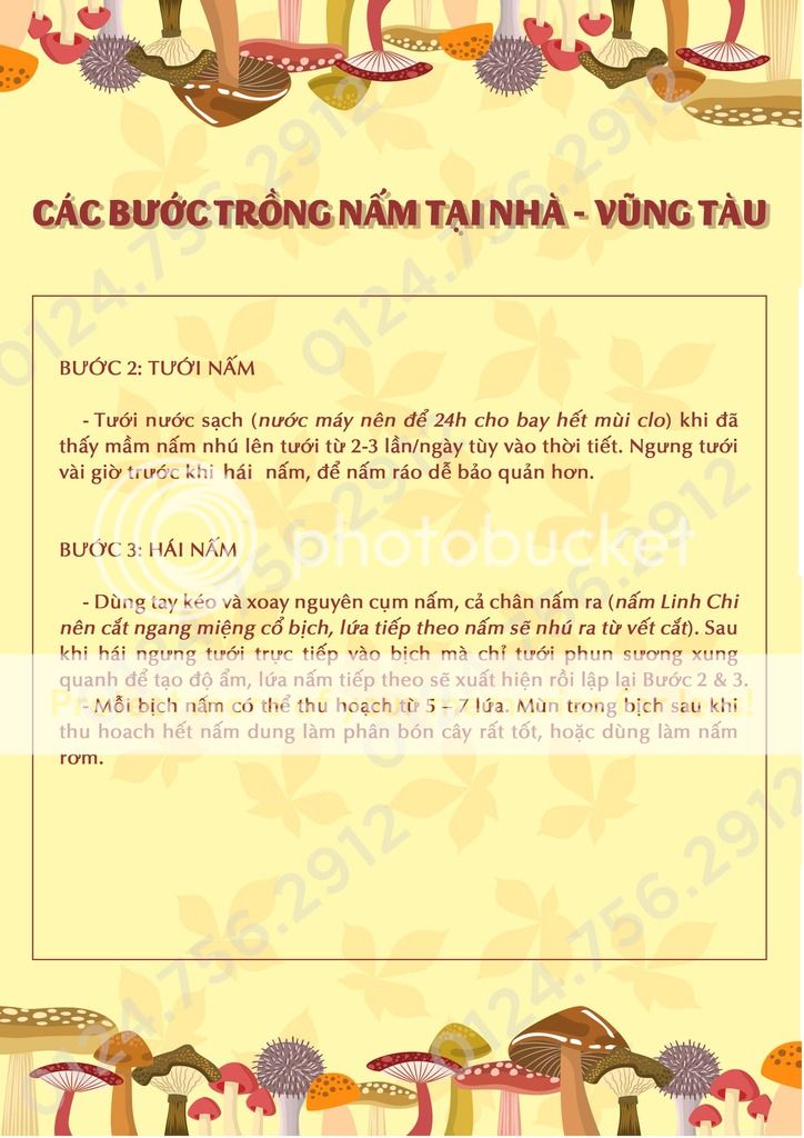 Caacutech%20Trong_Page_2_zpsqnb6b5sz.jpg