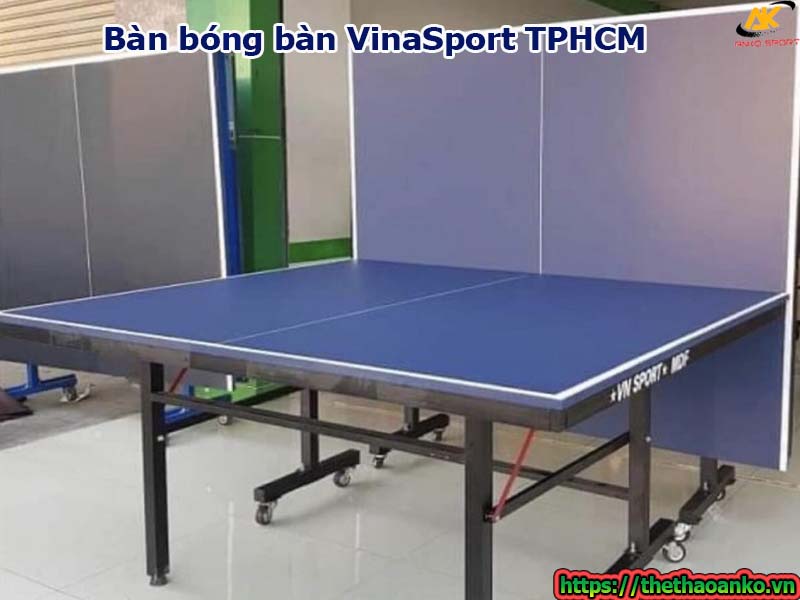 ban-bong-ban-vinasport-tai-tphcm