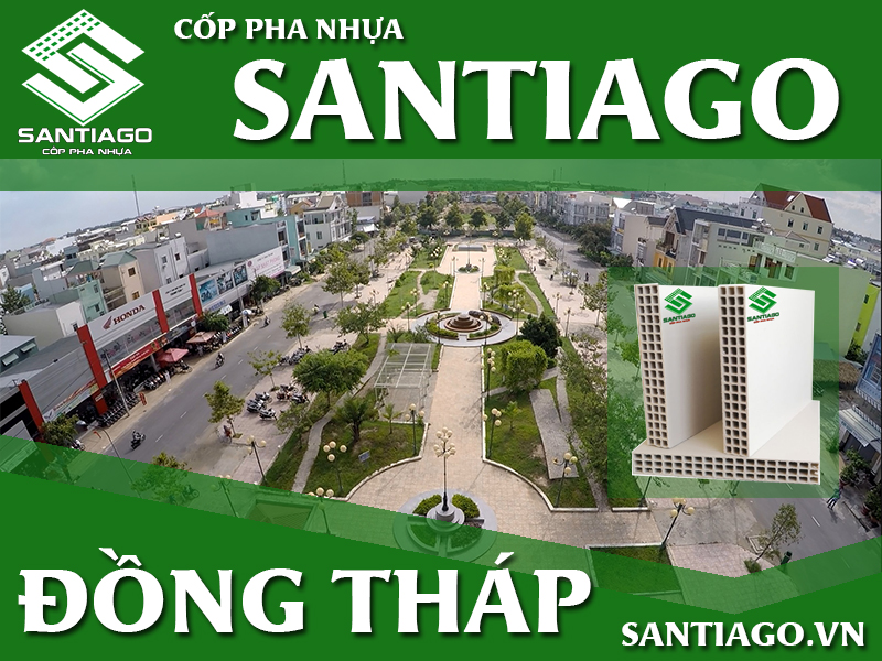 cop-pha-tai-dong-thap.jpg