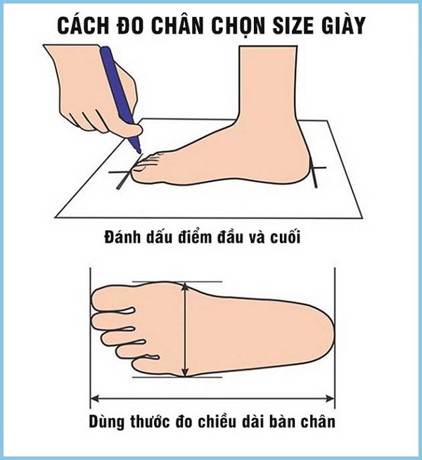 đo kích thước chân