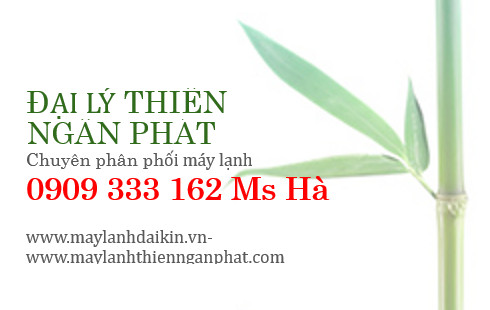 cty%20thien%20ngan%20phat.jpg