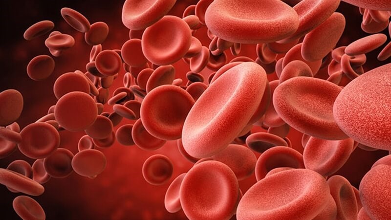 Hạt điều chứa đồng giúp ngăn ngừa các bệnh về máu