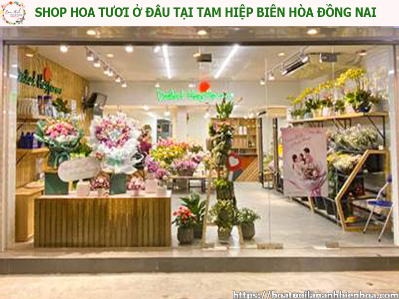 shop-hoa-tuoi-o-dau-tai-phuong-tam-hiep-bien-hoa-dong-nai.jpg