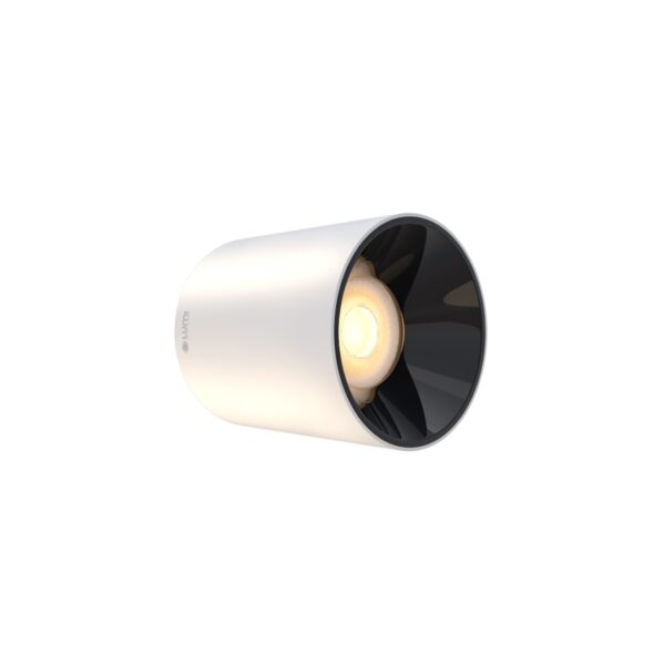 Đèn LED Spotlight trụ 10W ốp nổi 36 độ - Ảnh 6