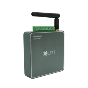 Input module Lumi